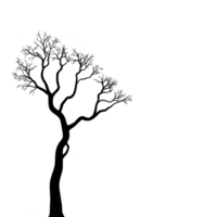 A solitary tree with bare branches stands against stark transparency background, creating dramatic and minimalist silhouette. image evokes sense of solitude and simplicity png