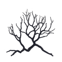 A silhouette of bare tree branch with intricate, twisting limbs against plain background, evoking sense of stark beauty and simplicity png