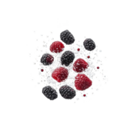 A dynamic splash of fresh raspberries and blackberries with water droplets creates refreshing and vibrant scene against transparency background png