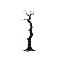 A silhouette of barren tree stands against stark transparency background, its twisted branches reaching out in various directions, creating dramatic and eerie atmosphere png