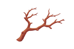 A digitally illustrated brown tree branch with multiple twigs extending outward, set against transparent background. branch is detailed and natural looking, suitable for design projects png