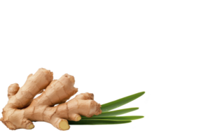 A fresh ginger root with green leaves is displayed transparency background, showcasing its natural texture and vibrant color. ginger earthy tones contrast with bright green leaves, creating lively png