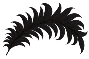 A black silhouette of feather with curved shape and pointed tips, resembling stylized or artistic design. feather intricate details and elegant form create sense of movement and grace png