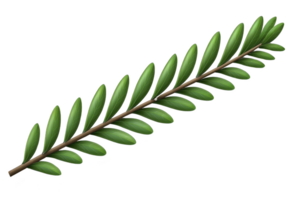 A single green fern leaf with brown stem, displaying symmetrical pattern of small, elongated leaflets. vibrant green color and natural texture evoke sense of freshness and tranquility png