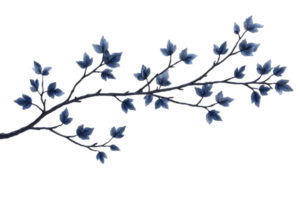 A delicate branch with dark blue leaves extends gracefully, creating serene and elegant visual. intricate details of leaves and subtle color variations add depth and beauty to image png