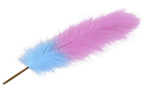 A vibrant, fluffy feather with gradient of blue to pink, symbolizing softness and elegance. delicate texture and bright colors create sense of whimsy and charm png