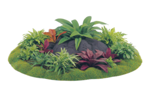 A vibrant arrangement of various tropical plants surrounds large rock, creating lush and colorful garden display. mix of green, red, and yellow foliage adds depth and contrast to scene png