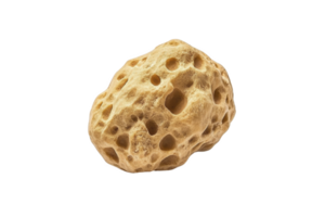A natural sea sponge with porous texture and irregular shape, ideal for gentle exfoliation and cleaning. Its earthy tones and organic form make it versatile tool for skincare routines png