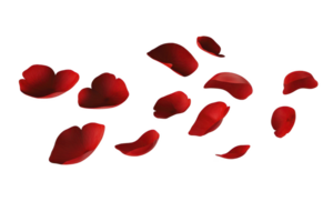 A Red rose petals scattered on transparency background create romantic and delicate atmosphere, perfect for themes of love and beauty. vibrant red color adds touch of elegance and passion png