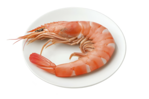 A cooked shrimp is elegantly presented on white plate, showcasing its vibrant orange color and detailed texture. simplicity of presentation highlights shrimp natural beauty and freshness png