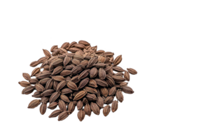 A pile of dried watermelon seeds is displayed against transparency background, showcasing their textured brown shells. These seeds are often used for snacking or culinary purposes png