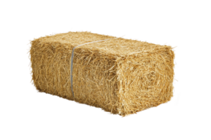 A rectangular bale of straw is tightly bound with twine, showcasing its golden color and fibrous texture. This agricultural product is commonly used for animal bedding and feed png