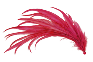 A vibrant red feather with delicate, flowing strands creates sense of elegance and movement, perfect for artistic and decorative purposes png