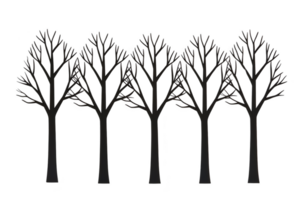 A Silhouette of five leafless trees with intricate branches, creating symmetrical and artistic pattern. design is simple yet elegant, evoking sense of calm and nature beauty png