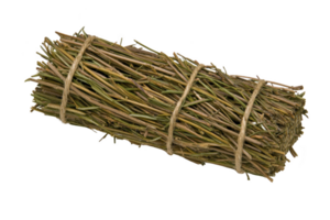 A bundle of dried twigs tied together with natural rope, showcasing rustic and earthy appearance. twigs are neatly arranged, highlighting their natural texture and color png