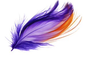 A vibrant, colorful feather with blend of purple and orange hues, showcasing intricate details and soft, delicate texture. feather dynamic shape and vivid colors create sense of movement png