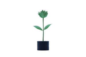 A minimalist illustration of green plant with single flower in black pot, set against transparency background. design is simple and modern, emphasizing plant elegance png