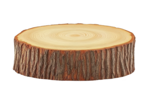 A wooden tree stump slice with visible growth rings and textured bark, showcasing natural wood patterns. This piece can be used for rustic decor or as unique display stand png