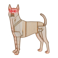 This features stylized, abstract representation of dog with striped pattern and red eyes, standing alertly. design is artistic and modern, emphasizing geometric shapes and lines png