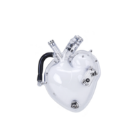transparent mechanical heart with visible tubes and components, showcasing intricate engineering and futuristic design. heart shape is clear, with metallic elements and connectors png