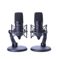 A Two professional studio microphones with shock mounts are positioned side by side, ideal for podcasting or recording. sleek design and sturdy stands enhance audio quality png