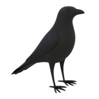 A silhouette of standing crow with smooth, dark outline against transparent background, capturing bird distinctive shape and posture png