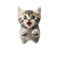 A playful kitten with wide eyes and excited expression appears to be jumping or reaching out, showcasing its adorable and energetic nature png