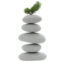 A stack of smooth gray stones is balanced with small green pine branch top, symbolizing harmony and balance nature. stones are arranged vertical column, creating serene and peaceful composition png
