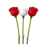 A Three elegant roses with two red and one white, symbolizing love and purity, are arranged in vertical line against plain background png