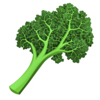 A vibrant illustration of fresh green broccoli floret with detailed texture and branching stems, showcasing its natural and healthy appearance png