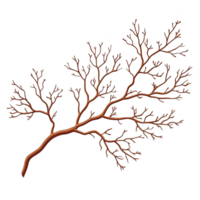 A detailed illustration of branching tree like structure with intricate, leafless branches on transparent background. design resembles natural, organic pattern png