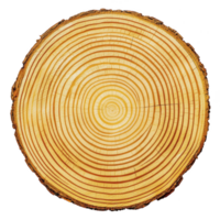 A cross section of tree trunk showing detailed growth rings, symbolizing age and history. concentric circles highlight natural texture and pattern of wood png