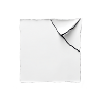 A torn piece of white paper with curled edges and transparency background creates dramatic contrast. texture of paper is rough, adding depth to image png