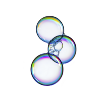 A Colorful soap bubbles with iridescent surfaces float against transparency background, showcasing delicate and whimsical pattern. bubbles translucent nature reflects spectrum of colors png