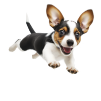 A playful puppy with large ears and joyful expression leaps forward, showcasing its energy and excitement. black and white fur adds to its adorable appearance png