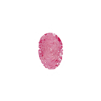 vibrant red fingerprint is centered on transparency background, showcasing intricate patterns and loops. contrast highlights unique details of fingerprint, symbolizing identity and security png