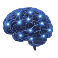 digital illustration of human brain with glowing neural connections, symbolizing artificial intelligence and cognitive processes. blue color adds futuristic and technological feel png