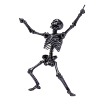 human skeleton is posed dynamically, with arms raised and one finger pointing upward, conveying sense of excitement or celebration. skeletal structure is detailed and anatomically accurate png