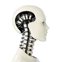 humanoid robot with sleek design and visible internal mechanisms is shown in profile view, highlighting its futuristic and advanced technology png