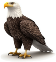 Majestic bald eagle, a symbol of freedom and strength png