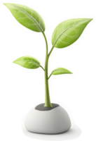 Fresh, vibrant seedling in a decorative, round pot. png