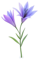 Two delicate, light purple lilies on a slender stem. png