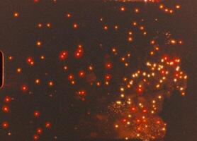 Vibrant fireworks bursting across darkened sky, creating dazzling color explosions illuminating nighttime celebration with mesmerizing pyrotechnic display video