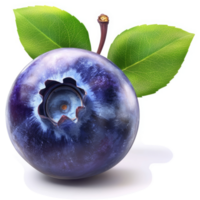 Single, plump blueberry with leaves, displayed against a white background. png