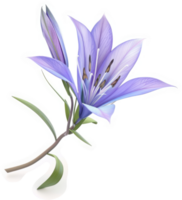 Delicate lavender lily blossom highlights stem and leaves. png