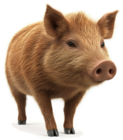 A charming piglet stands with a pleasant expression. png