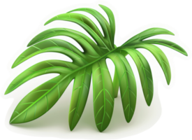 Lush tropical leaf displaying intricate veining. png