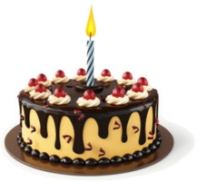 Delicious chocolate-glazed cake with a single candle. png