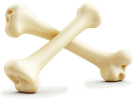 Two crossed bones represent strength and structure. png