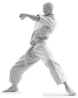 Martial arts practitioner executing a powerful karate technique. png